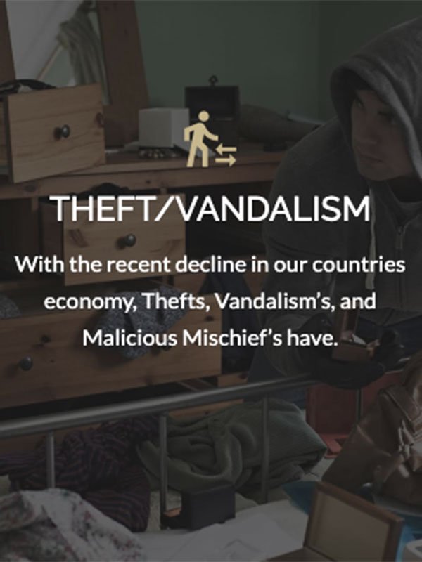 Theft Vandalism